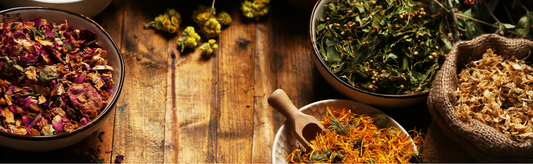 Nature’s Healing Trio: Kawakawa, Calendula & Hemp Oil Balms for Skin Relief