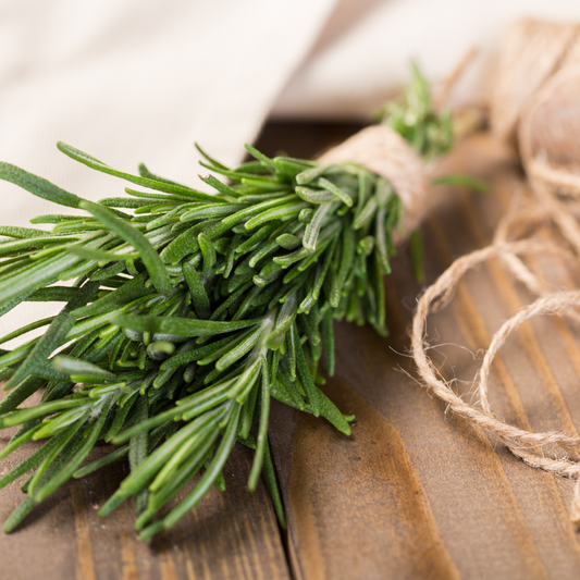 Rosemary Essential Oil