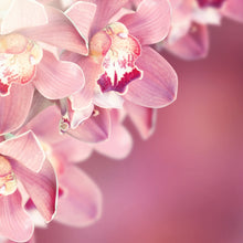 Load image into Gallery viewer, Frangipani &amp; Orchid Fragrance Oil
