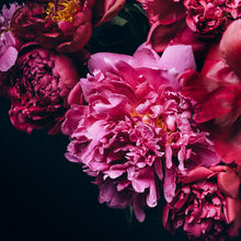 Load image into Gallery viewer, Magnolia &amp; Peony Fragrance Oil
